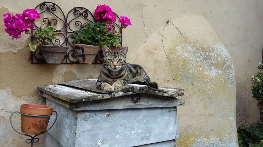 Vintage Garden Finds