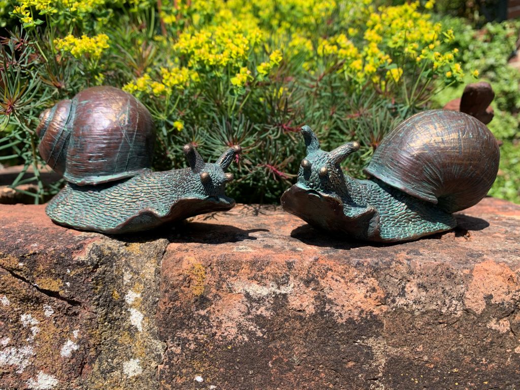 All Creatures Great & Small